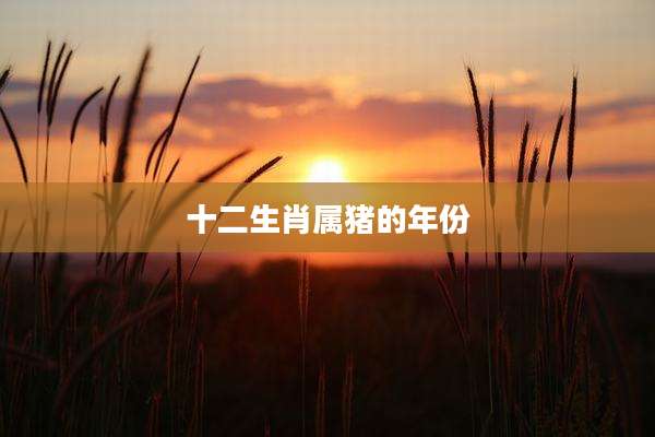 十二生肖属猪的年份