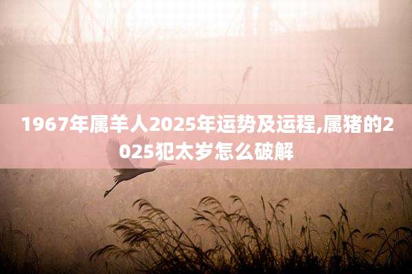 1967年属羊人2025年运势及运程,属猪的2025犯太岁怎么破解