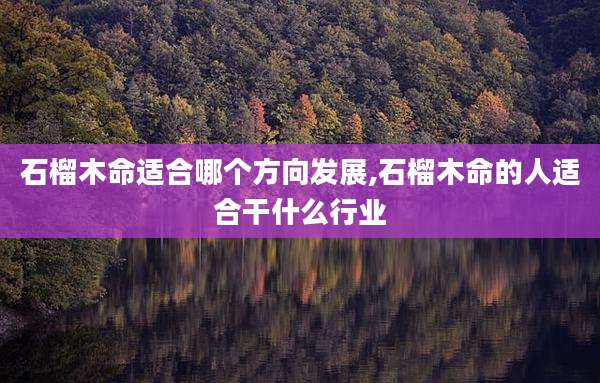 石榴木命适合哪个方向发展,石榴木命的人适合干什么行业