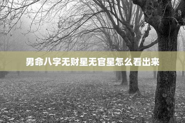 男命八字无财星无官星怎么看出来