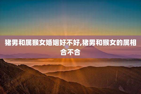 猪男和属猴女婚姻好不好,猪男和猴女的属相合不合