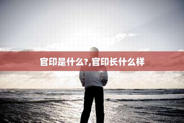 官印是什么?,官印长什么样