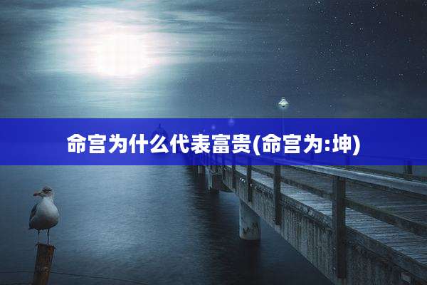 命宫为什么代表富贵(命宫为:坤)