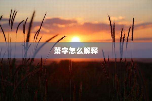 萧字怎么解释