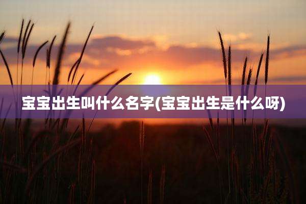 宝宝出生叫什么名字(宝宝出生是什么呀)