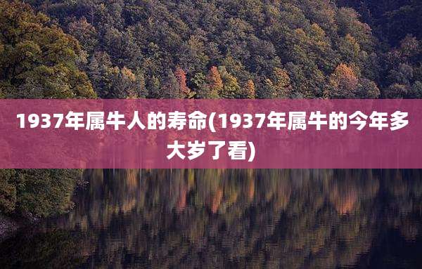 1937年属牛人的寿命(1937年属牛的今年多大岁了看)