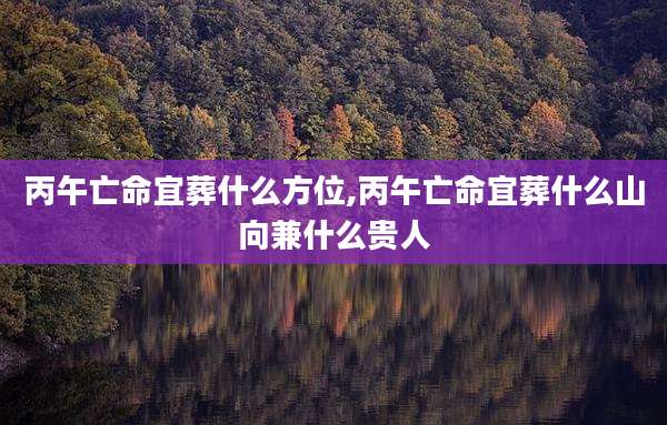 丙午亡命宜葬什么方位,丙午亡命宜葬什么山向兼什么贵人