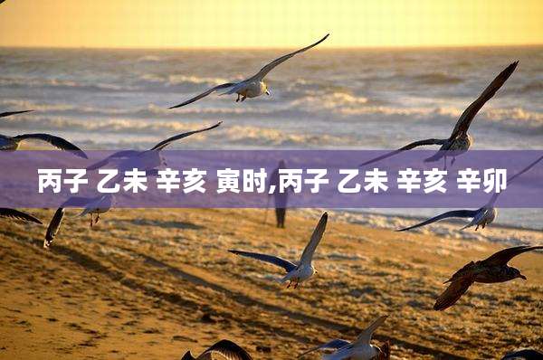 丙子 乙未 辛亥 寅时,丙子 乙未 辛亥 辛卯