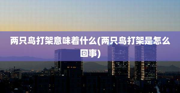 两只鸟打架意味着什么(两只鸟打架是怎么回事)