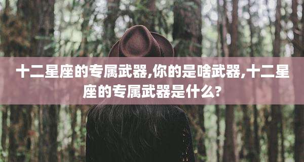 十二星座的专属武器,你的是啥武器,十二星座的专属武器是什么?