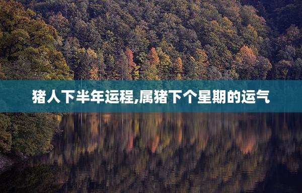 猪人下半年运程,属猪下个星期的运气