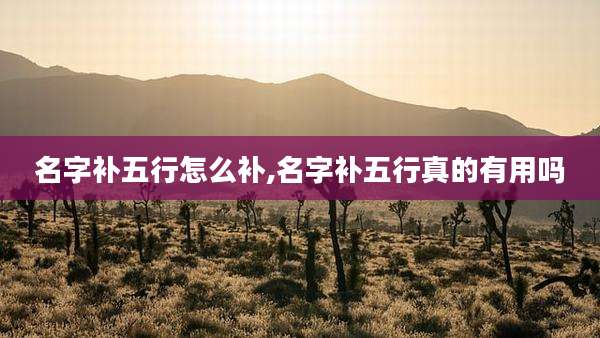 名字补五行怎么补,名字补五行真的有用吗