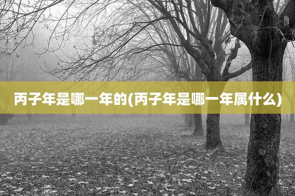 丙子年是哪一年的(丙子年是哪一年属什么)