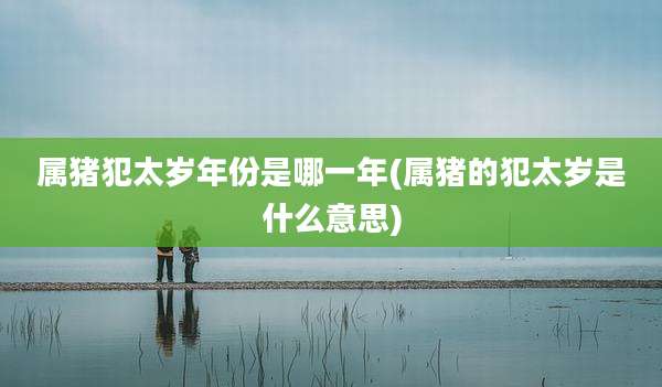 属猪犯太岁年份是哪一年(属猪的犯太岁是什么意思)