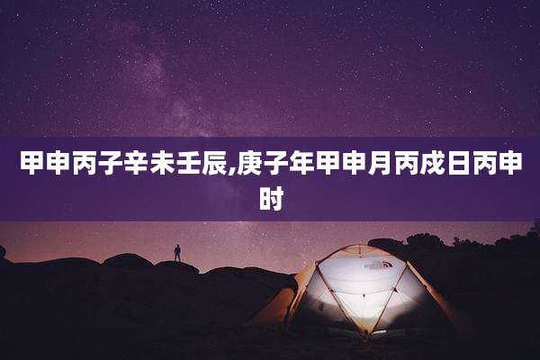 甲申丙子辛未壬辰,庚子年甲申月丙戍日丙申时