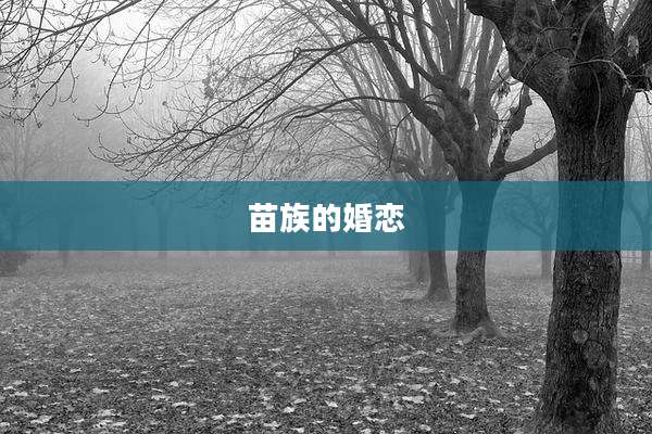 苗族的婚恋