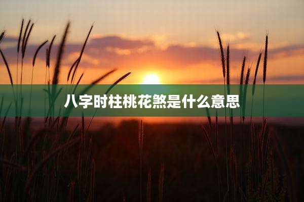 八字时柱桃花煞是什么意思
