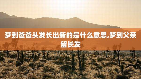 梦到爸爸头发长出新的是什么意思,梦到父亲留长发