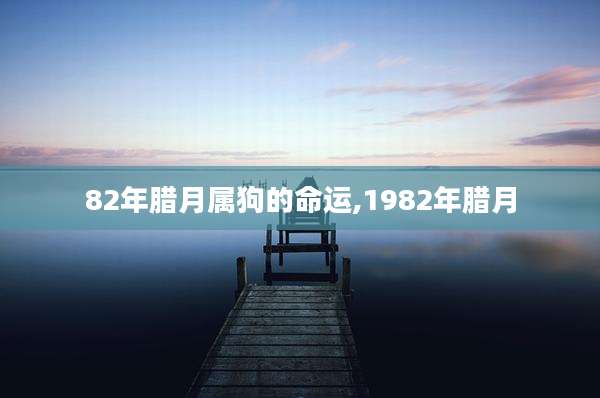 82年腊月属狗的命运,1982年腊月