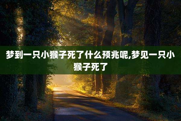 梦到一只小猴子死了什么预兆呢,梦见一只小猴子死了