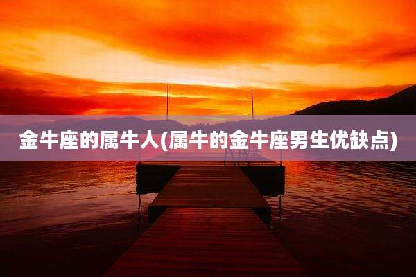 金牛座的属牛人(属牛的金牛座男生优缺点)