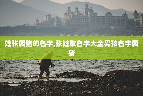 姓张属猪的名字,张姓取名字大全男孩名字属猪