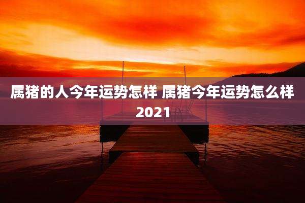 属猪的人今年运势怎样 属猪今年运势怎么样2021