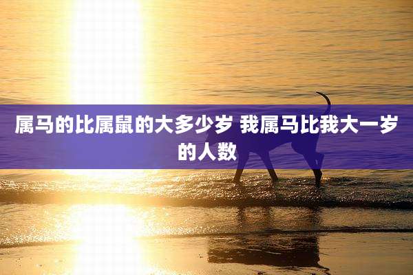 属马的比属鼠的大多少岁 我属马比我大一岁的人数