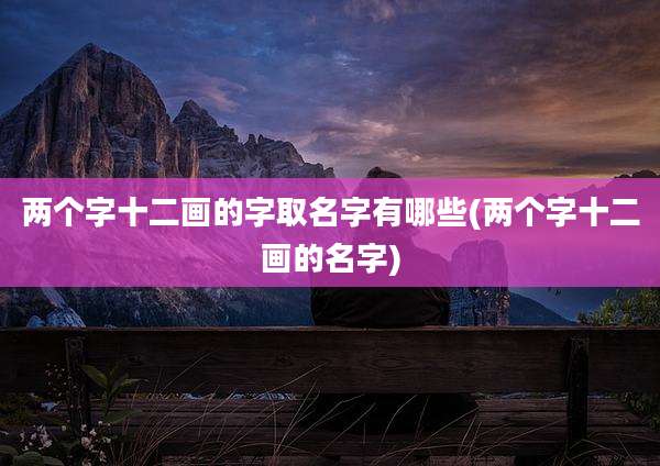 两个字十二画的字取名字有哪些(两个字十二画的名字)