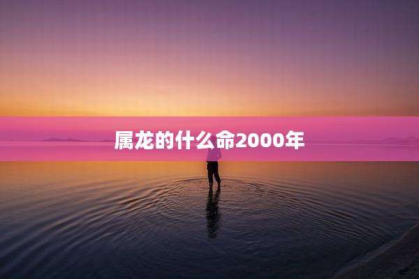 属龙的什么命2000年