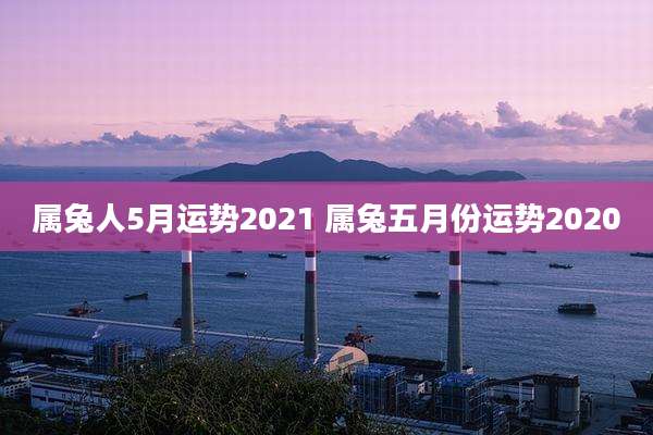 属兔人5月运势2021 属兔五月份运势2020