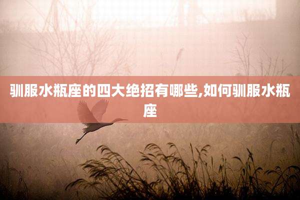 驯服水瓶座的四大绝招有哪些,如何驯服水瓶座
