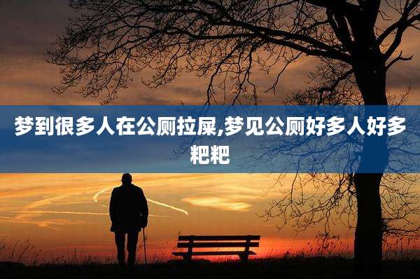梦到很多人在公厕拉屎,梦见公厕好多人好多粑粑