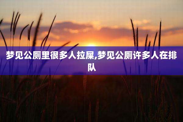 梦见公厕里很多人拉屎,梦见公厕许多人在排队