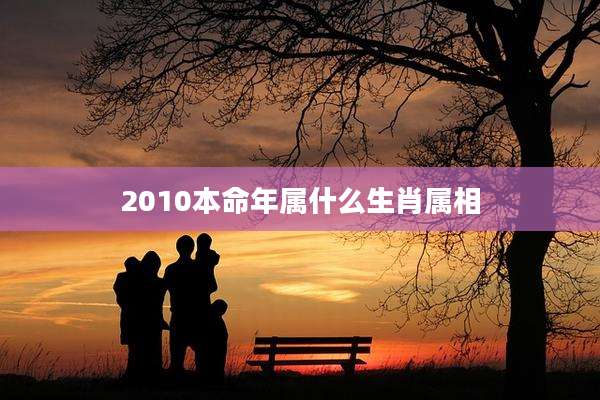 2010本命年属什么生肖属相