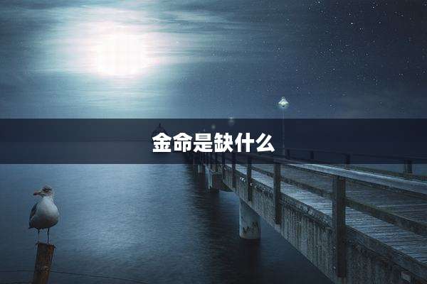 金命是缺什么
