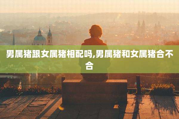 男属猪跟女属猪相配吗,男属猪和女属猪合不合