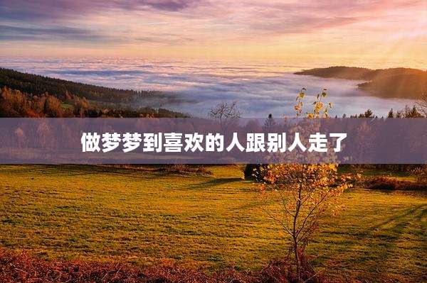 做梦梦到喜欢的人跟别人走了