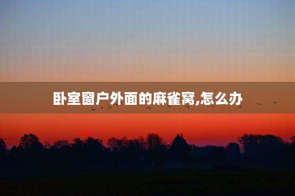 卧室窗户外面的麻雀窝,怎么办