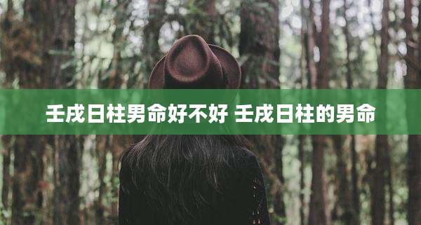 壬戌日柱男命好不好 壬戌日柱的男命
