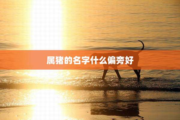 属猪的名字什么偏旁好