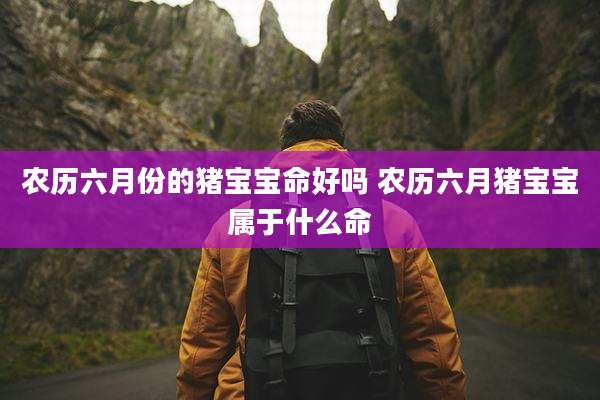 农历六月份的猪宝宝命好吗 农历六月猪宝宝属于什么命