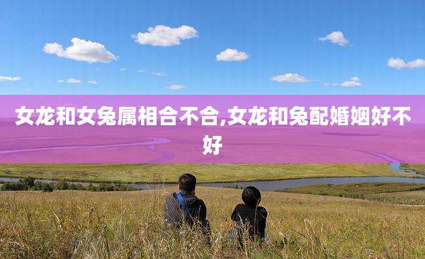 女龙和女兔属相合不合,女龙和兔配婚姻好不好