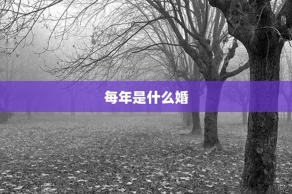 每年是什么婚