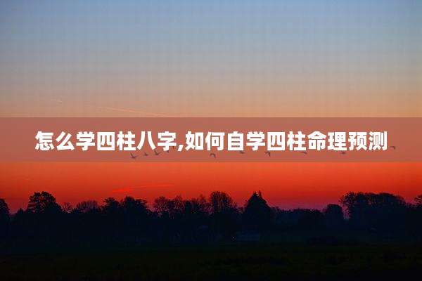 怎么学四柱八字,如何自学四柱命理预测