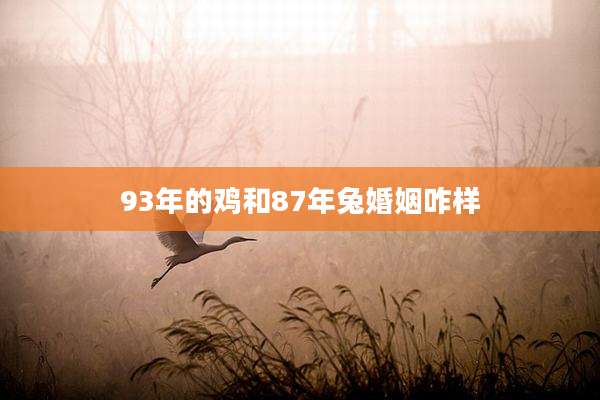 93年的鸡和87年兔婚姻咋样