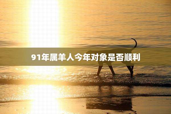91年属羊人今年对象是否顺利