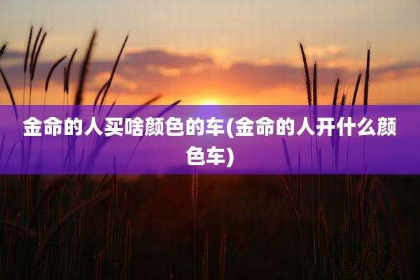 金命的人买啥颜色的车(金命的人开什么颜色车)