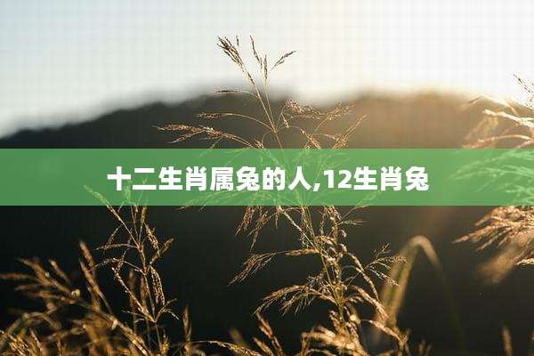 十二生肖属兔的人,12生肖兔
