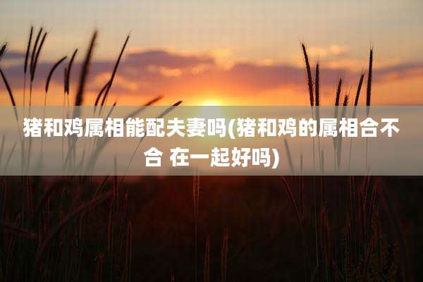 猪和鸡属相能配夫妻吗(猪和鸡的属相合不合 在一起好吗)
